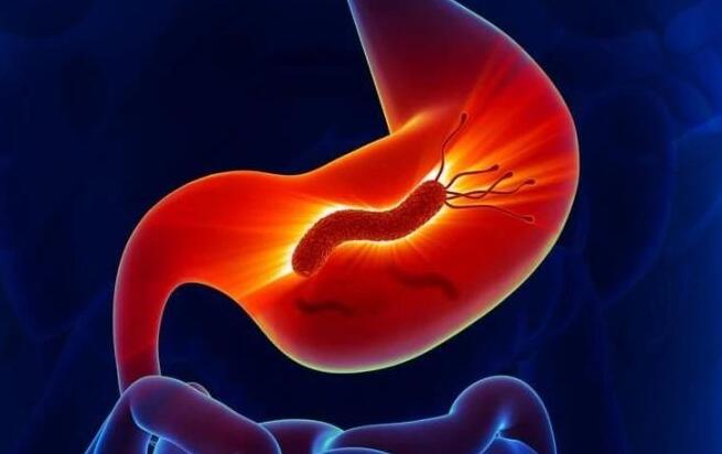Why won’t the gastric juice dissolve our body?