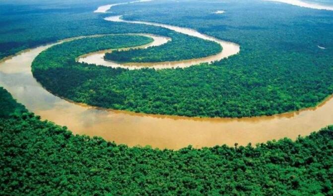 The Amazon rainforest is not the lungs of the earth