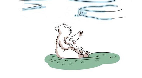 If the glacier melts, what kind of animal will the polar bear evolve into?
