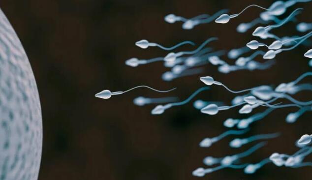 The new study found that some sperm actually became winners by “poisoning” their kind…