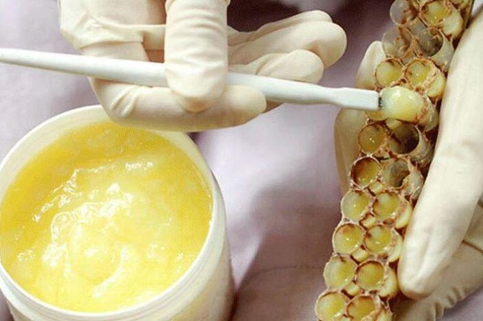 Why is royal jelly rich in nutrients?
