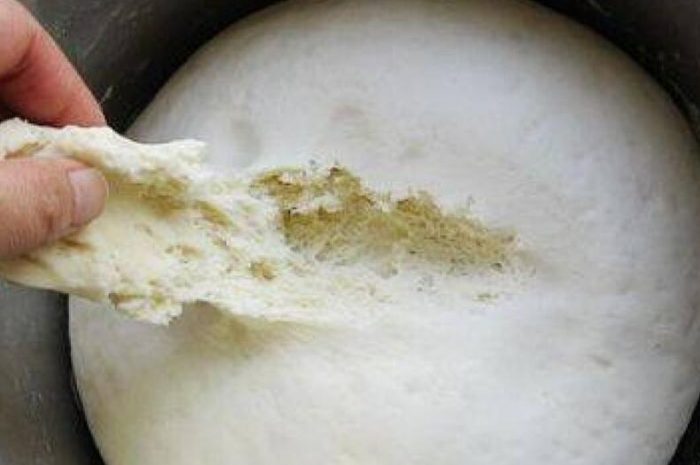 What is yeast and why it can make food ferment and expand