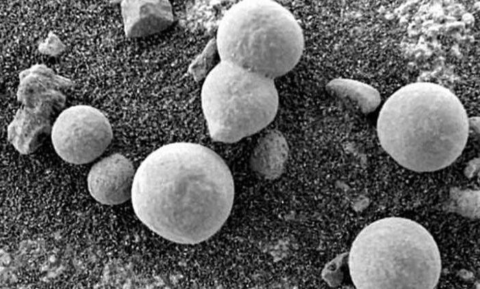 “Mushrooms” are found on Mars and are still growing. What is it?